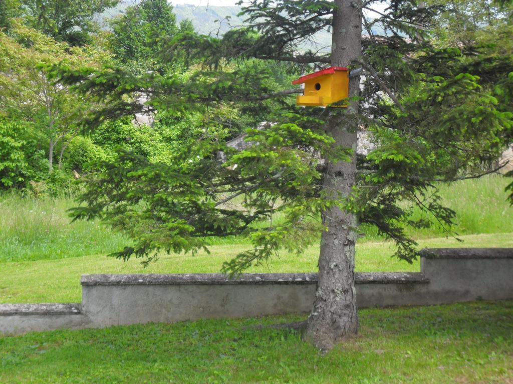 Apartmani Bartulasi Roč Kültér fotó